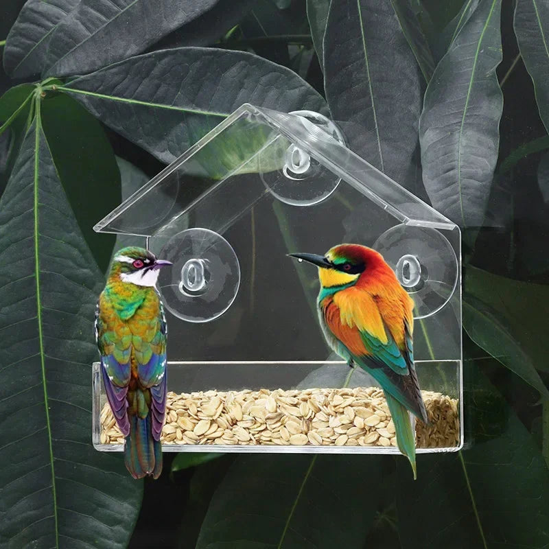 House Transparent Window Wild Bird Feeder Outdoor