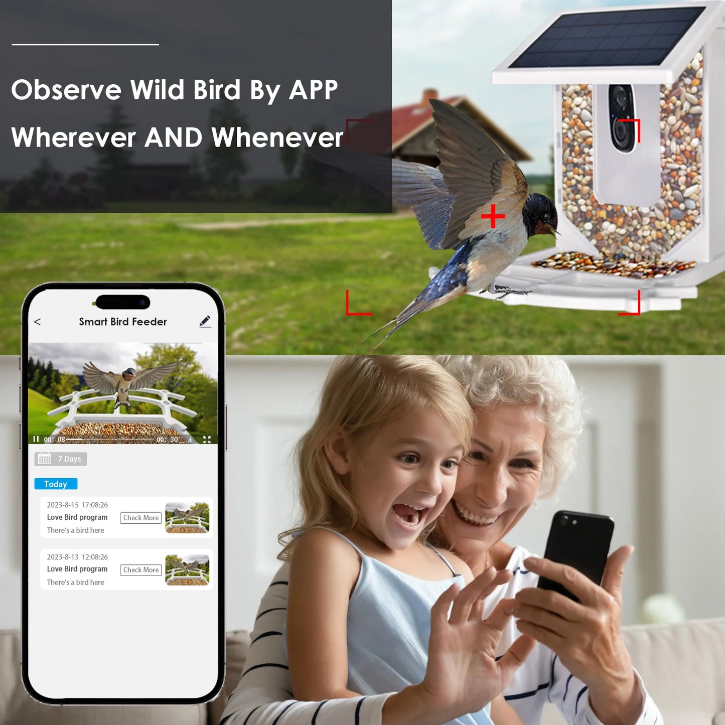 Smart Bird Feeder with Camera, Feeding House