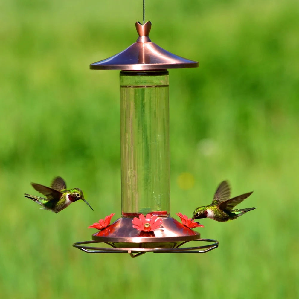 Elegant Copper Glass Hummingbird Feeder Bee Guard