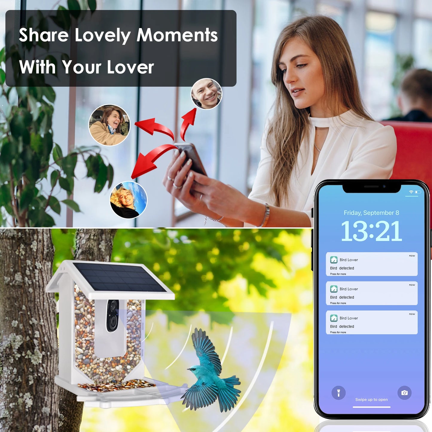 Smart Bird Feeder with Camera, Feeding House