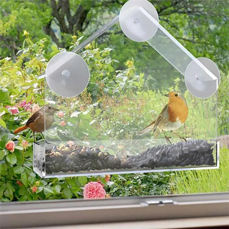 House Transparent Window Wild Bird Feeder Outdoor