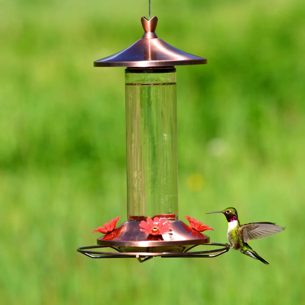 Elegant Copper Glass Hummingbird Feeder Bee Guard