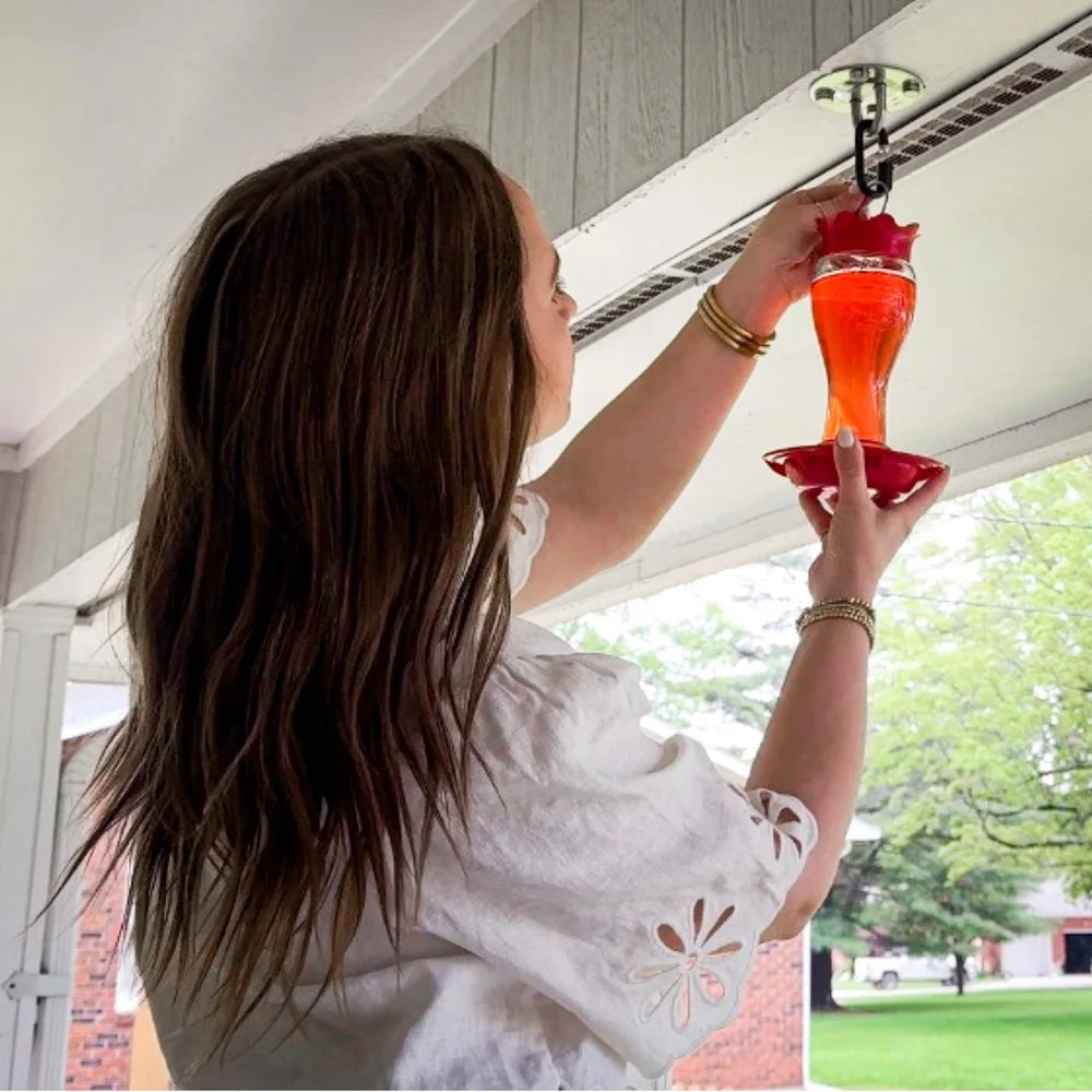 Hummingbird Feeder Bee Resistant Ant Moat