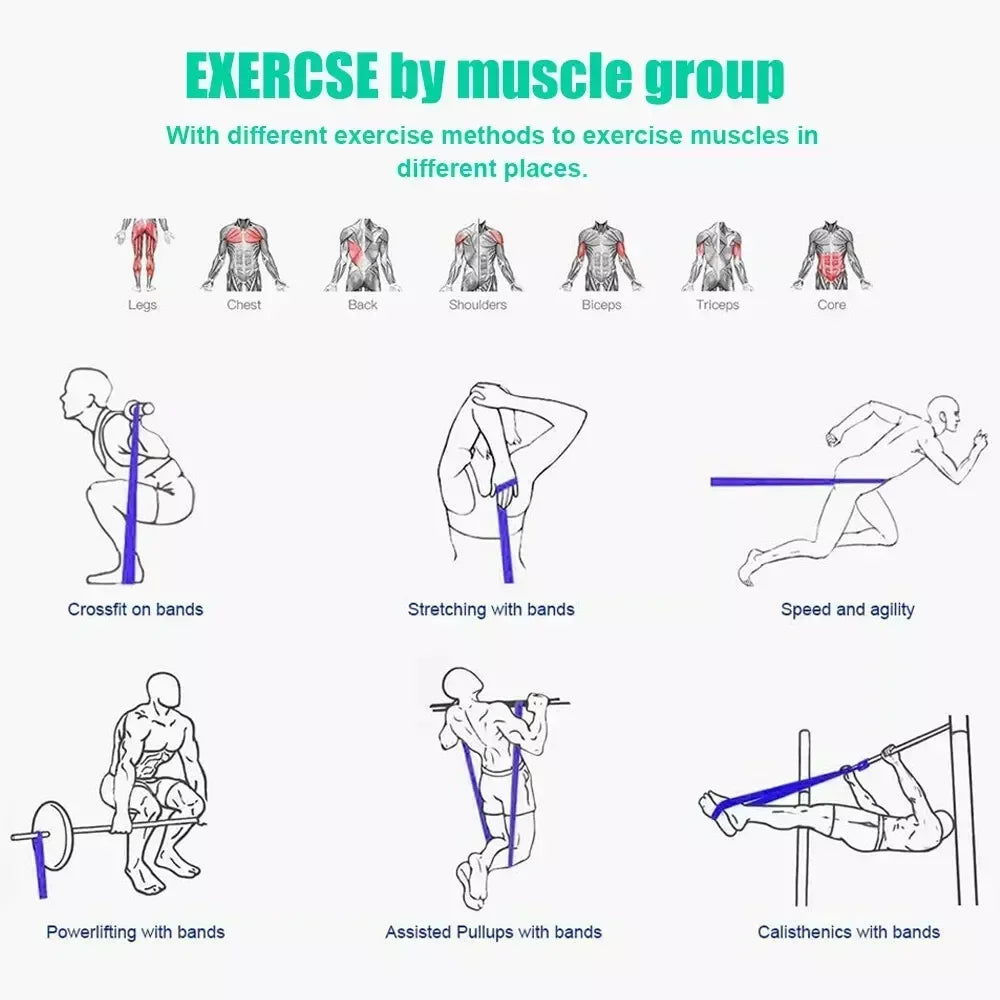 5~125lbs  Gym Resistance Bands Gym/Home Equipment