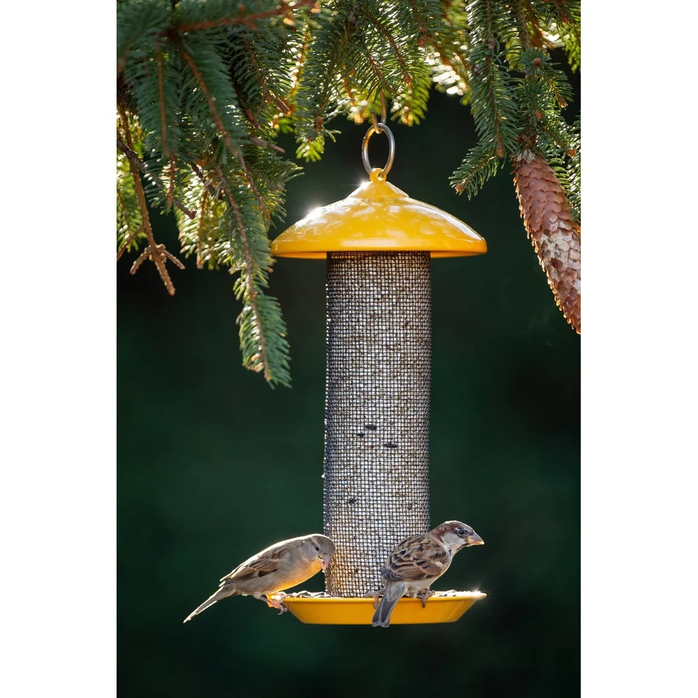 Finch Bird Seed Holder with Feeding Station