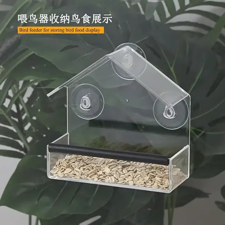 House Transparent Window Wild Bird Feeder Outdoor