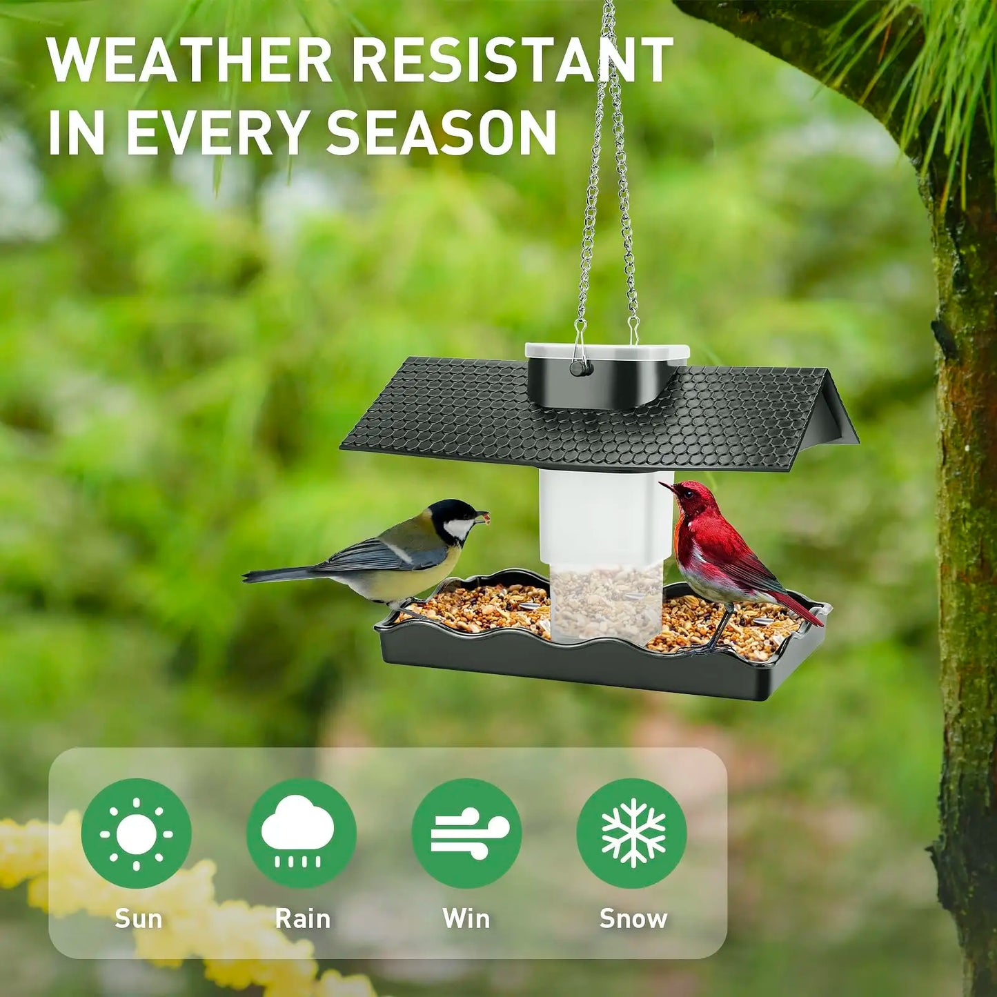 Hanging Bird Feeder for Outdoor Garden Decoration