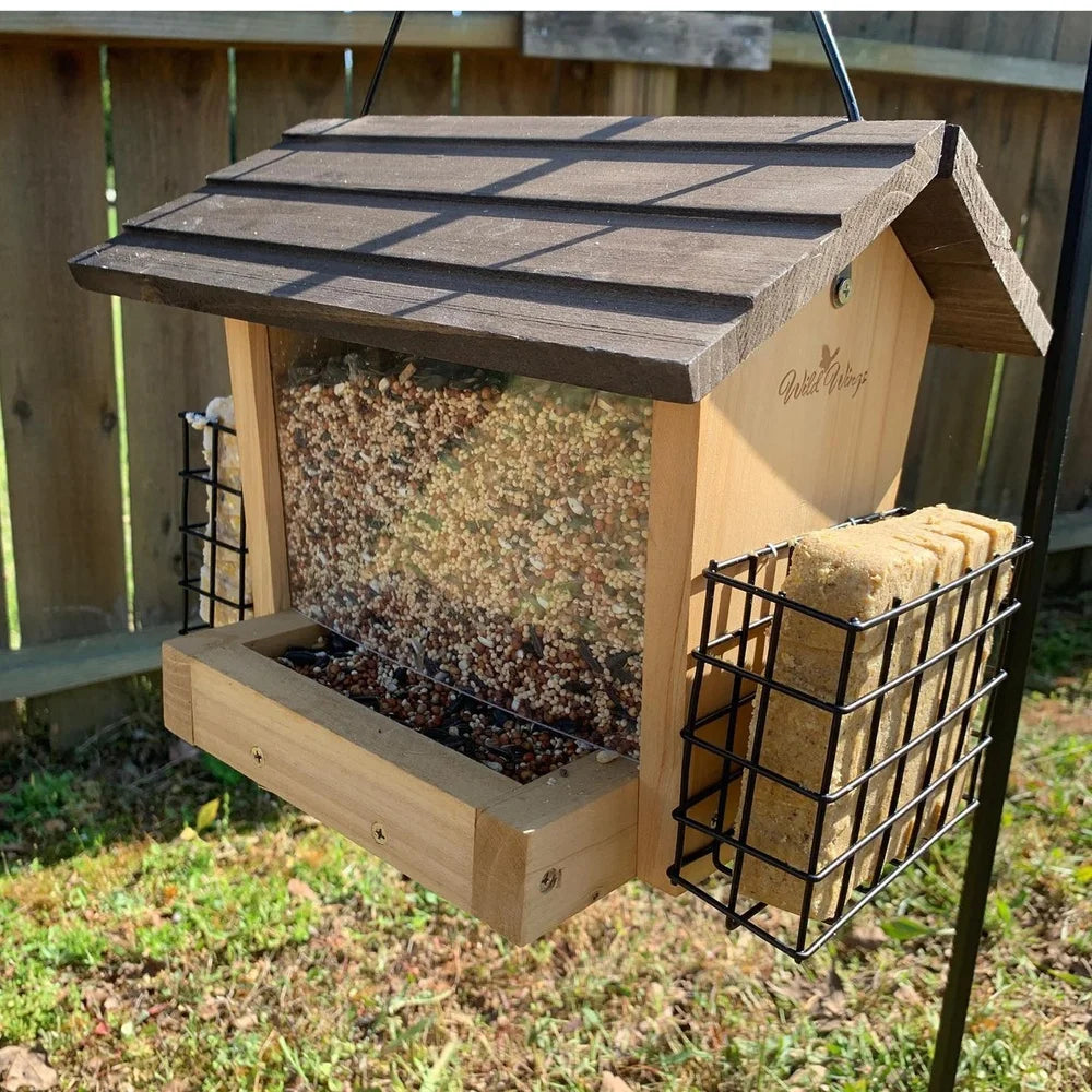 Bird Feeder with Suet Holder Attracts Cardinals