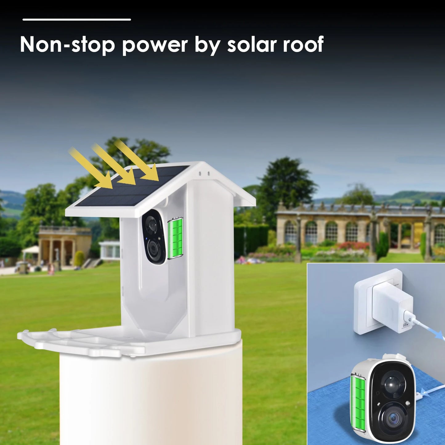 Smart Bird Feeder with Camera, Feeding House