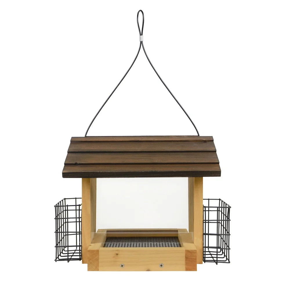 Bird Feeder with Suet Holder Attracts Cardinals