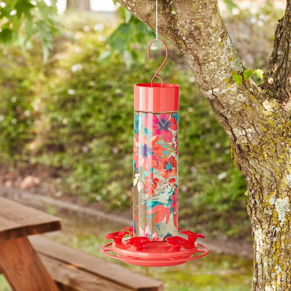 Glass Hummingbird Feeder with Ant Moat