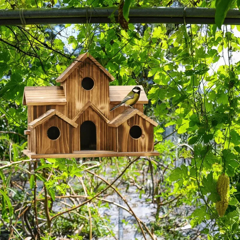 Natural Wooden Hanging Hummingbird and Cardinal House