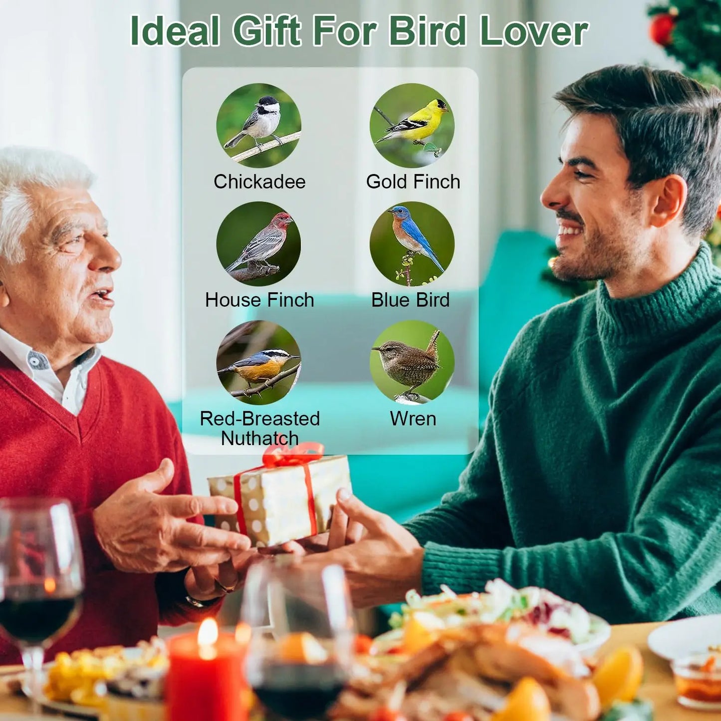 Bird Feeder Squirrel-Proof Metal Hanging Seed Feeder