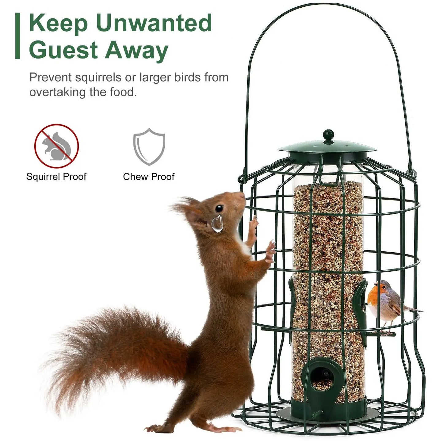 Bird Feeder Squirrel-Proof Metal Hanging Seed Feeder