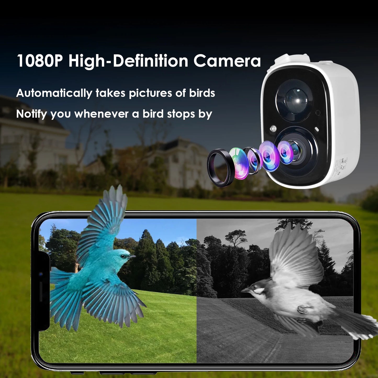 Smart Bird Feeder with Camera, Feeding House