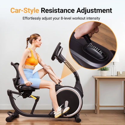 High-End Recumbent Exercise Bike for Home