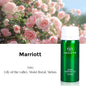 Perfume Fragrance Oil Pure Scented Air Freshener