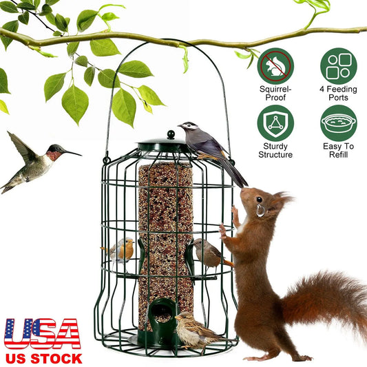 Bird Feeder Squirrel-Proof Metal Hanging Seed Feeder