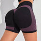 Women's Seamless High Waist Yoga Workout Shorts