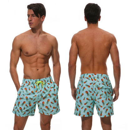 Quick Dry Summer Mens Swimwear Beach Shorts