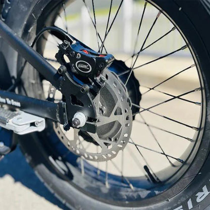 New Electric Bike 20 Inch Fat Tire