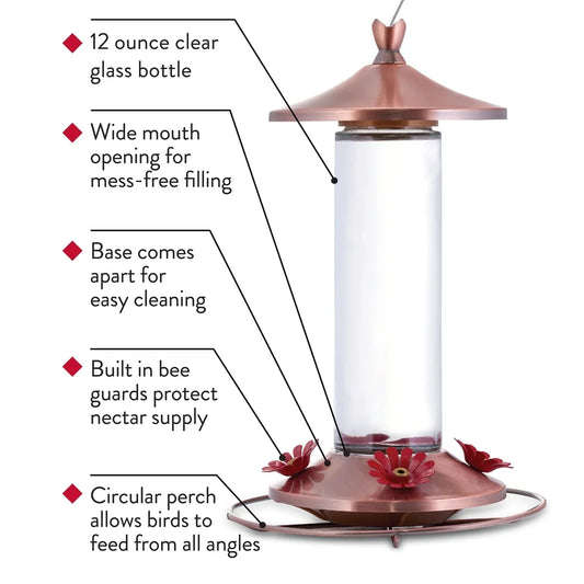 Elegant Copper Glass Hummingbird Feeder Bee Guard