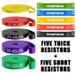 Resistance Bands: Strength Training, Body Building, Stretching