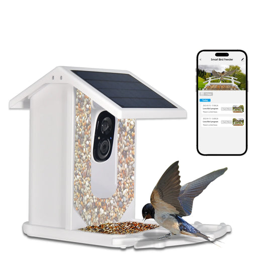 Smart Bird Feeder with Camera, Feeding House