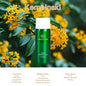 Perfume Fragrance Oil Pure Scented Air Freshener