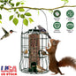 Bird Feeder Squirrel-Proof Metal Hanging Seed Feeder