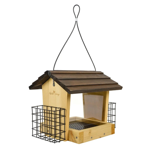Bird Feeder with Suet Holder Attracts Cardinals
