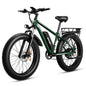 Electric Bike for Adults 1000W Electric Bicycle