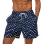 Quick Dry Summer Mens Swimwear Beach Shorts