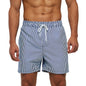 Quick Dry Summer Mens Swimwear Beach Shorts